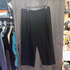 ARITZIA Wilfred pant